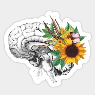 Brain human anatomy,floral sunflowers feathers, mental, watercolor Sticker